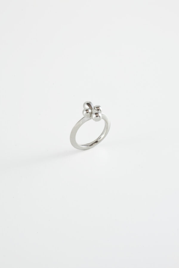 Berry Ring – Bild 2